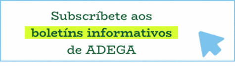 Subscricin boletns ADEGA