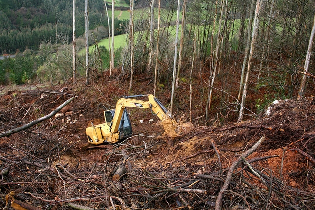 Nos labores forestais estase a usar maquinaria pesada