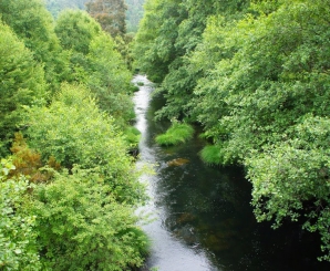 O sor é o único río galego sen saltos hidroeléctricos