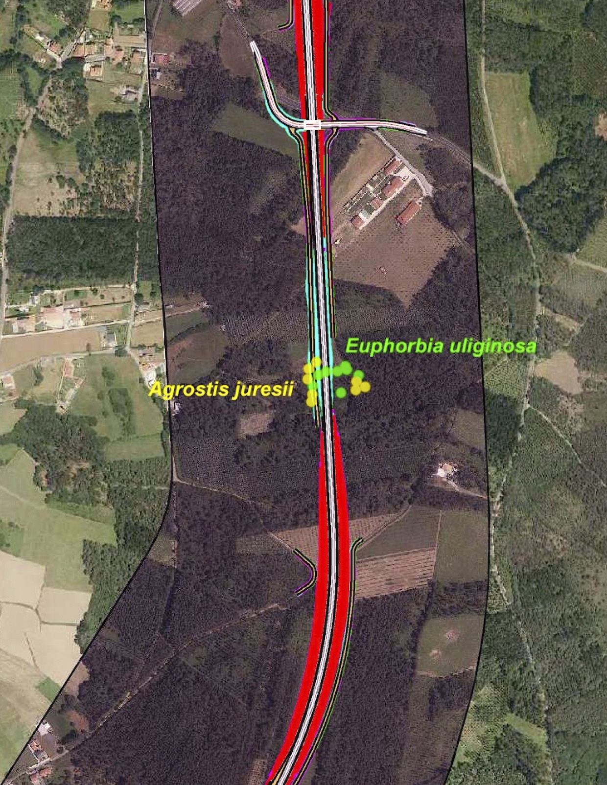 Mapa da poboaci�n afectada pola infraestrutura